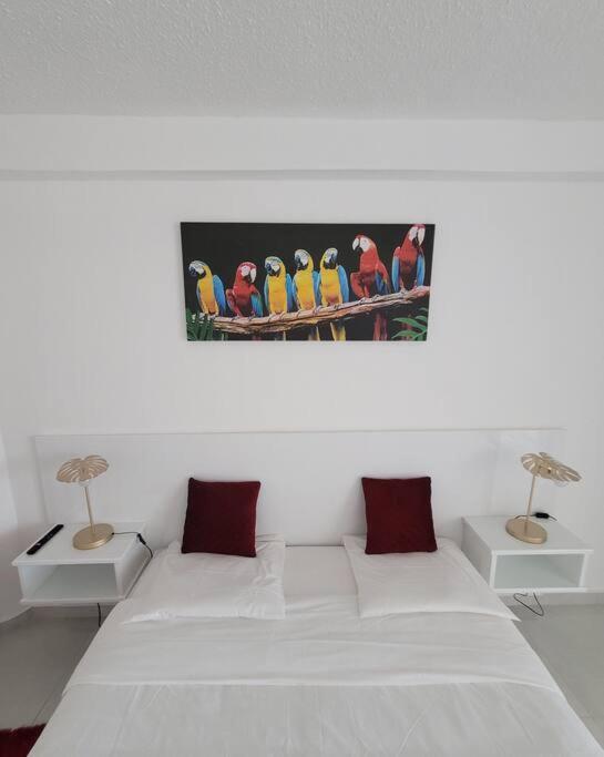 Hello Guyane, Suite Collection กาแยน ภายนอก รูปภาพ