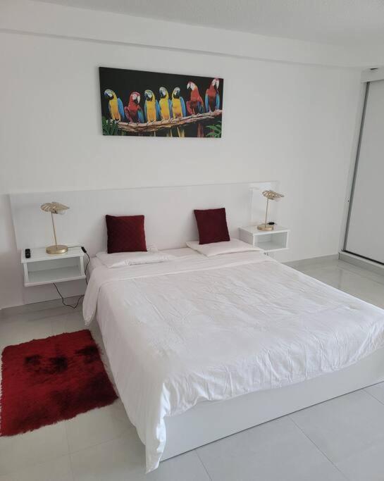 Hello Guyane, Suite Collection กาแยน ภายนอก รูปภาพ